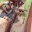 massey-ferguson-30-image-35