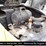 2019-yanmar-vio55-6a-image-5
