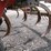 case-ih-6650-image-12