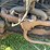 fordson-f-image-30