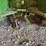 john-deere-br-image-40