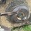 #4016-•-land-pride-15ft-batwing-mower-image-19