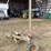 john-deere-no.8-image-3