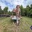 t/a-25’-gooseneck-trailer-image-10