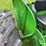 john-deere-435-image-36