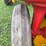 massey-ferguson-44-image-15