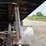2002-international-durastar-4300-image-56