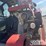2018-takeuchi-tl12v2-image-30