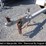 2008-allmand-bros-night-lite-pro-image-6