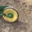 john-deere-no.-44-pull-type-two-bottom-plow-image-15