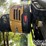 2023-sany-sy50u-image-5