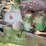 john-deere-630-image-24