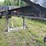 1999-pitts-triple-bunk-t/a-log-trailer-image-41