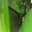 1950-john-deere-1950-image-27