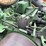 john-deere-h-image-22