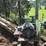 #1001-•-2008-precision-636-h-debarker---frye-lumber-company-image-8