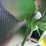 john-deere-gpo-image-21