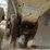 2007-clement-dump-trailer-image-46