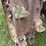 john-deere-gp-image-16