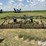 john-deere-e1600-image-6