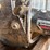 #1030-•-sharpeners---frye-lumber-company-image-2