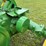 john-deere-model-a-image-40
