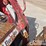 2019-takeuchi-tl8-image-25