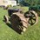 fordson-f-image-3