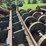 #1001-•-2008-precision-636-h-debarker---frye-lumber-company-image-3