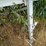 2007-clement-dump-trailer-image-21