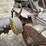john-deere-model-a-image-26