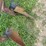 (6)-bottom-ih-plow-image-8