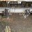2007-clement-dump-trailer-image-34
