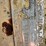 #4004-•-new-holland-10ft-bar-rake-image-13