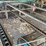 #1017-•-52'-green-chain---frye-lumber-company-image-6