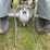 ford-9n-image-35