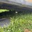 sure-trac-8’-truck-flatbed-image-5