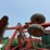 case-ih-496-image-6