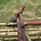 #4004-•-new-holland-10ft-bar-rake-image-11