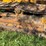 john-deere-440-image-42