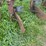 (6)-bottom-ih-plow-image-11