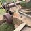 john-deere-60-image-21
