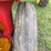 massey-ferguson-44-image-14