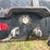 1999-pitts-triple-bunk-t/a-log-trailer-image-8