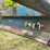 1997-savo-double-bunk-t/a-log-trailer-image-10