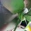 john-deere-gpo-image-22
