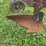 (6)-bottom-ih-plow-image-14