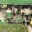john-deere-320-image-14