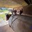 jobsite-fuel-tank-&-dual-t/a-storage-gooseneck-trailer-image-35