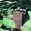 john-deere-50-image-57